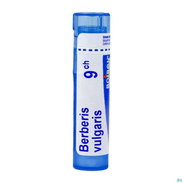 Berberis Vulgaris 9ch Gr 4g Boiron