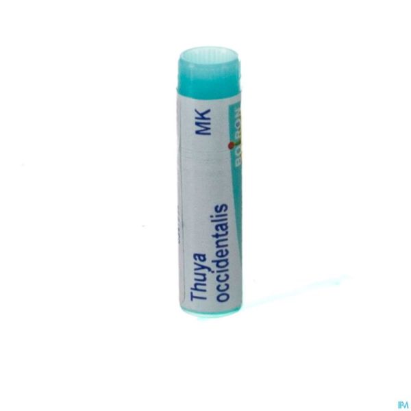 Thuya Occidentalis Mk Gl Boiron