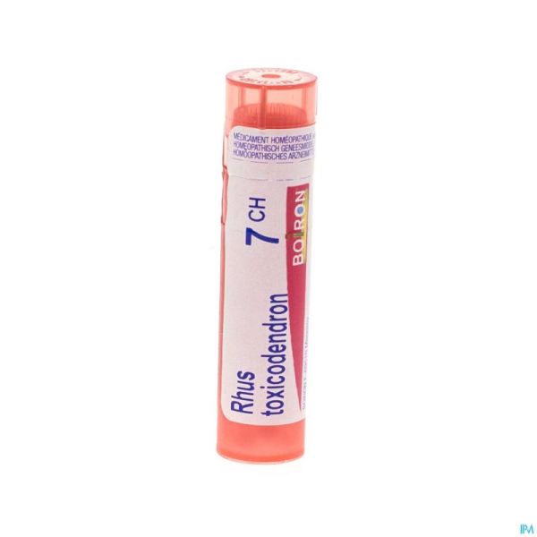 Rhus Toxicodendron 7ch Gr 4g Boiron