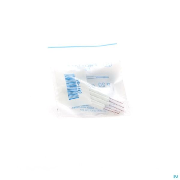 Proximal brosse a/manche cylindrique small   5 p20