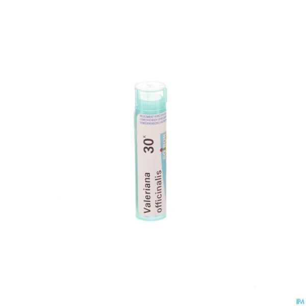 Valeriana Officinalis 30k Gr 4g Boiron