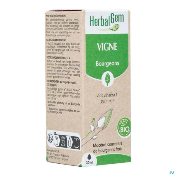 Herbalgem Vigne Bio 30ml